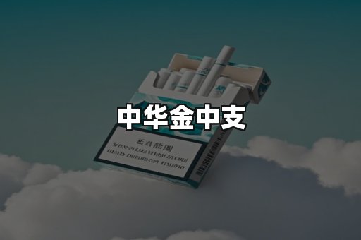 中华金中支